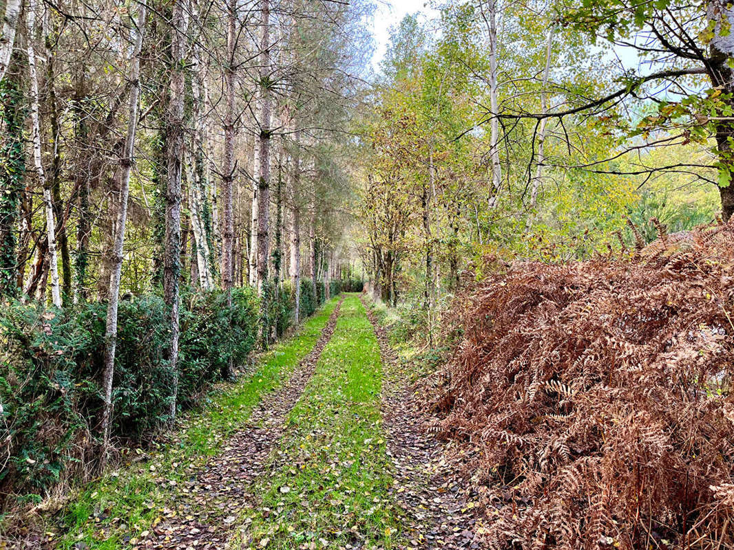 Terrain à LIGNY-LE-RIBAULT