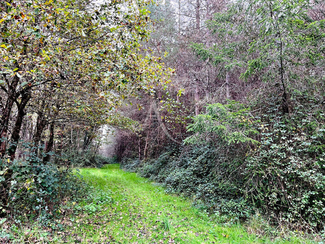 Terrain à LIGNY-LE-RIBAULT