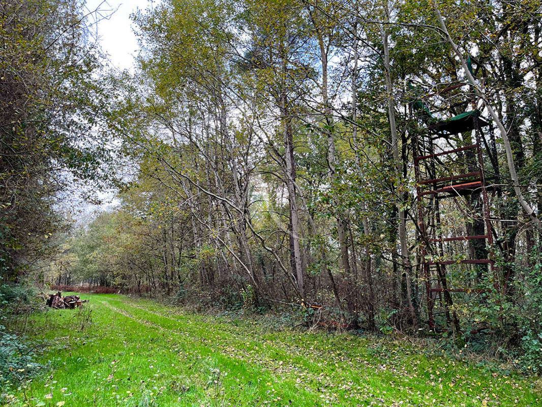 Terrain à LIGNY-LE-RIBAULT