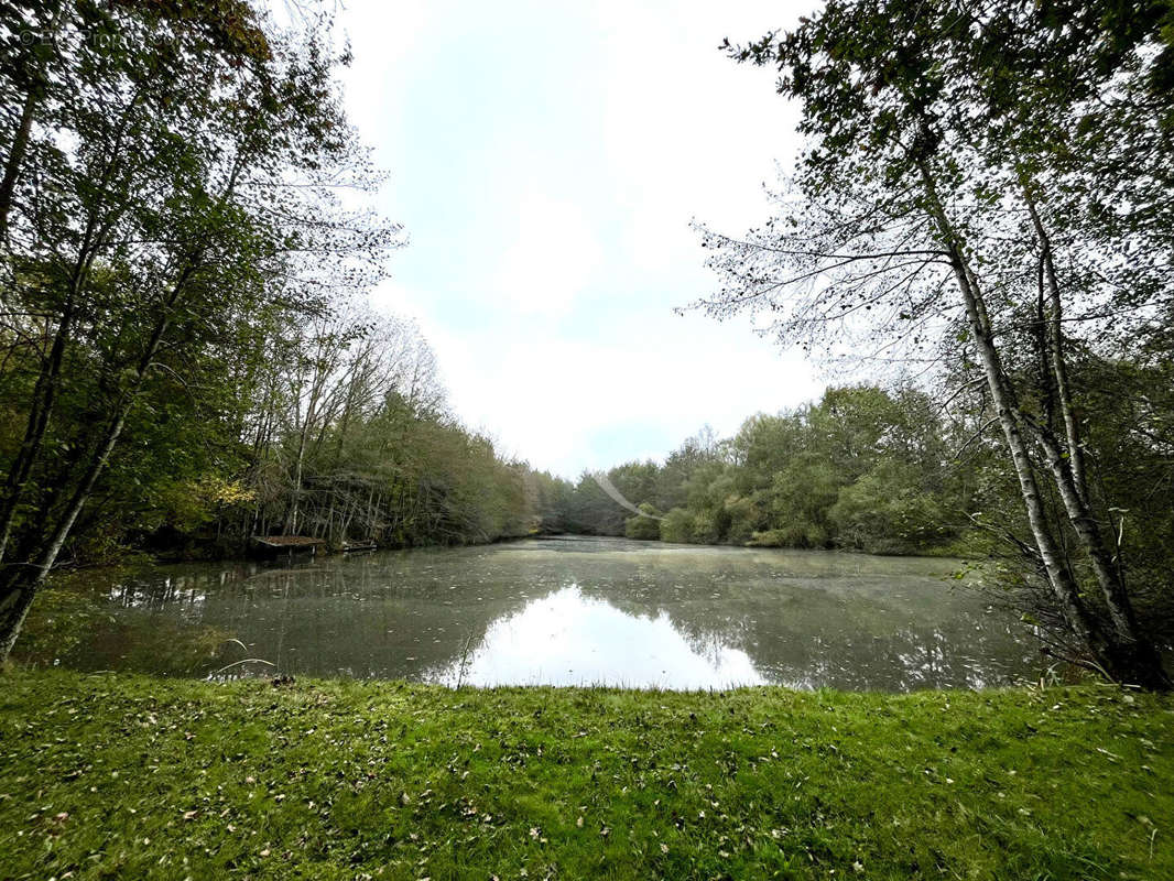 Terrain à LIGNY-LE-RIBAULT