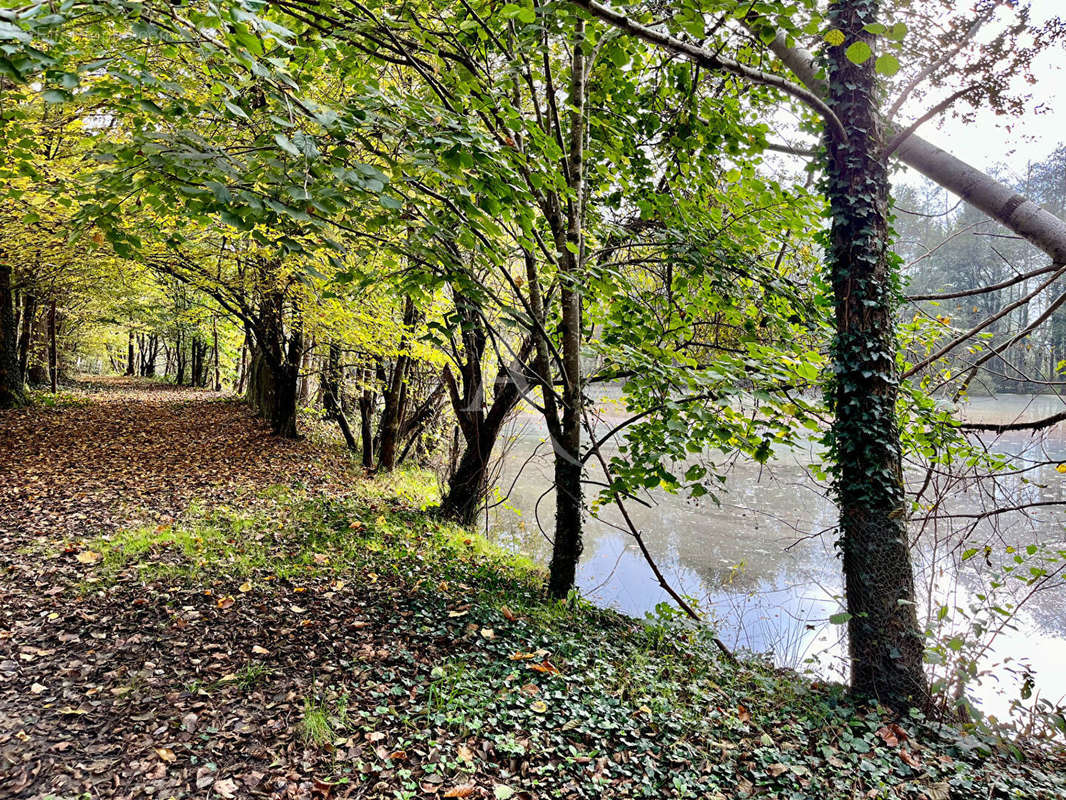 Terrain à LIGNY-LE-RIBAULT