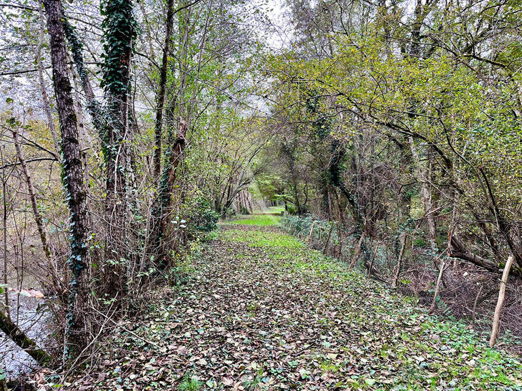 Terrain à LIGNY-LE-RIBAULT