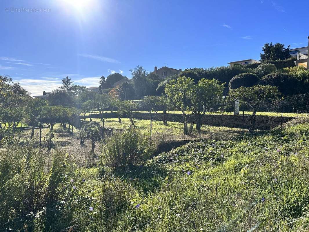 Terrain à VALLAURIS