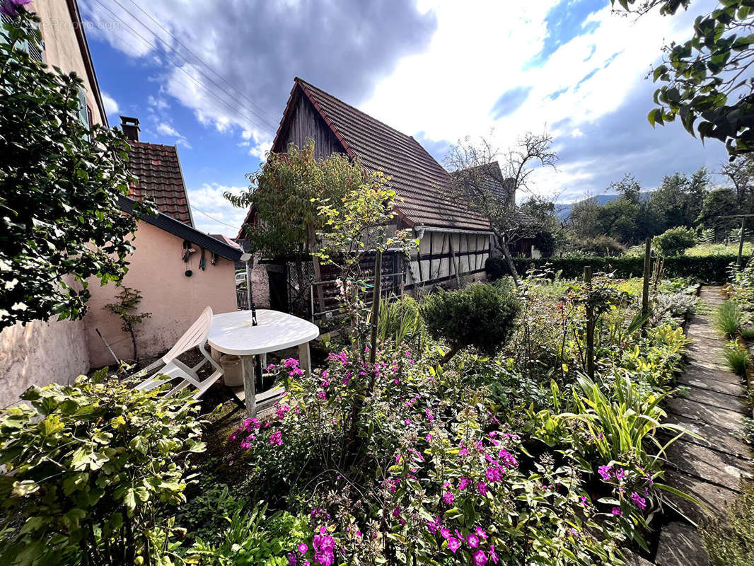 Maison à ZIMMERBACH