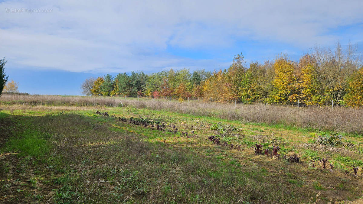 Terrain à PARCAY-MESLAY