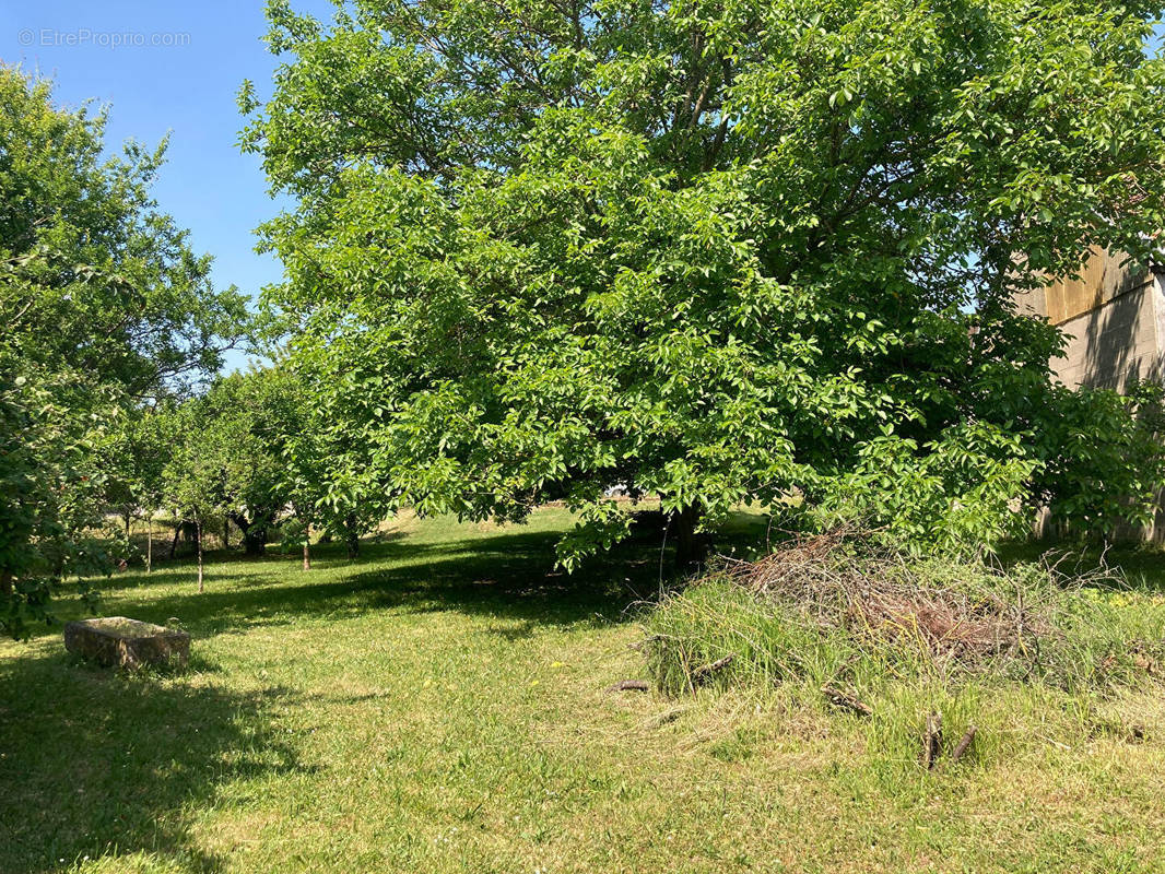 Terrain à VILLEMOIRON-EN-OTHE