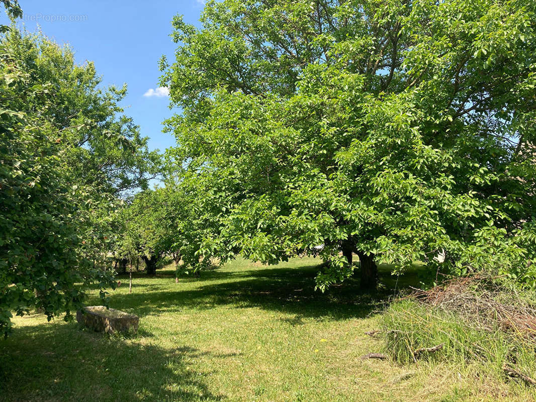 Terrain à VILLEMOIRON-EN-OTHE