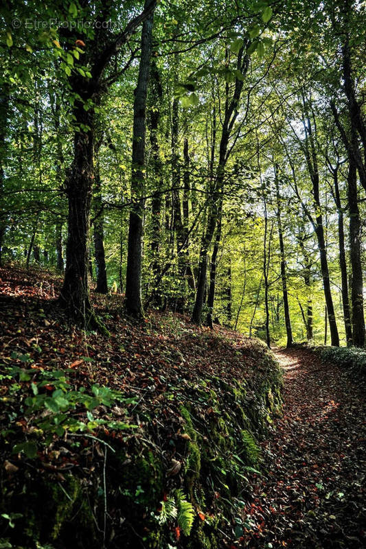 Terrain à LUZARCHES