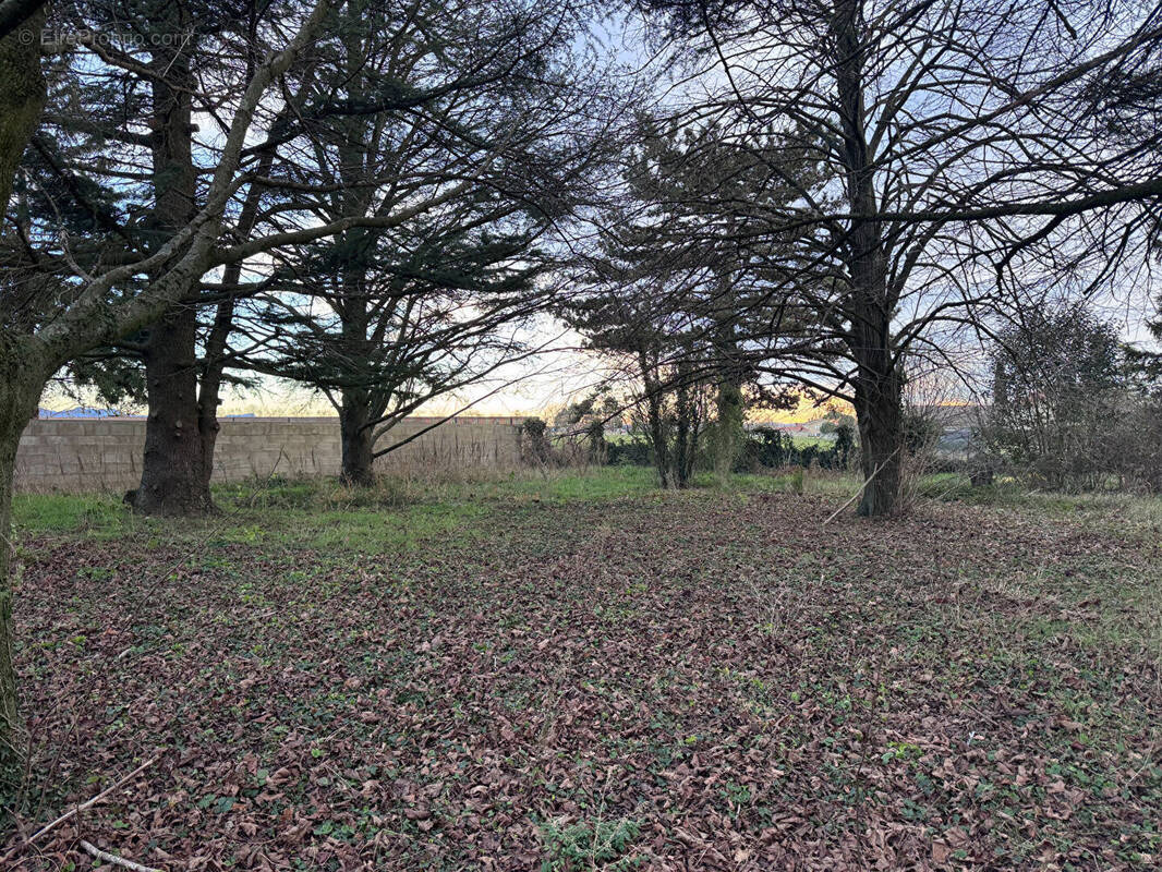 Terrain à CHABEUIL