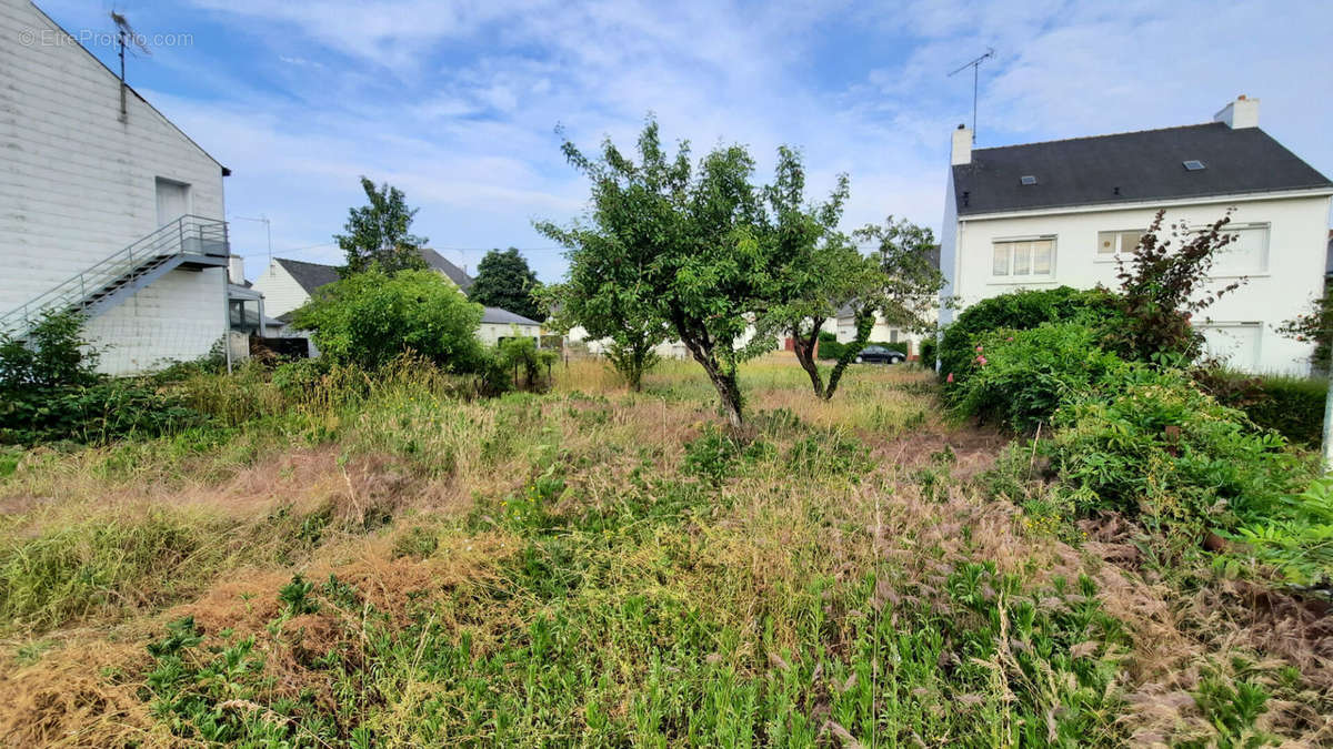 Terrain à TRIGNAC