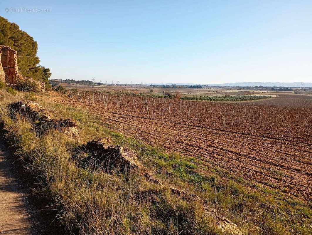 Maison à LEZIGNAN-CORBIERES