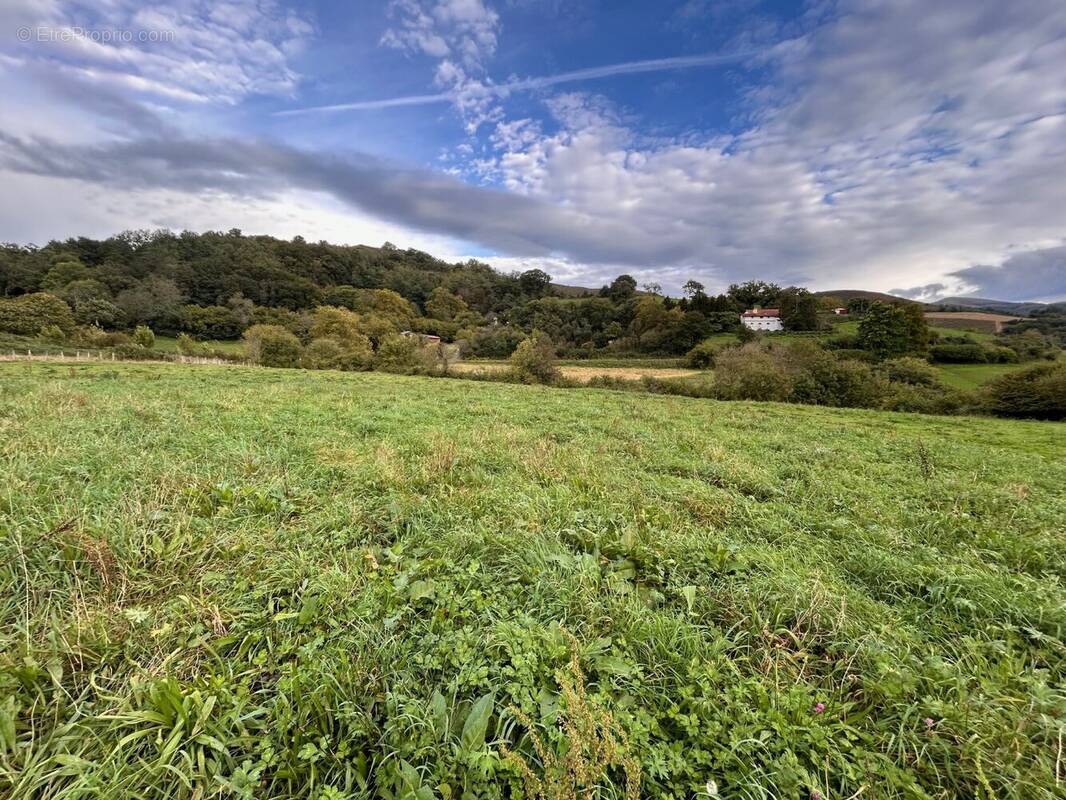 Terrain à AINHOA