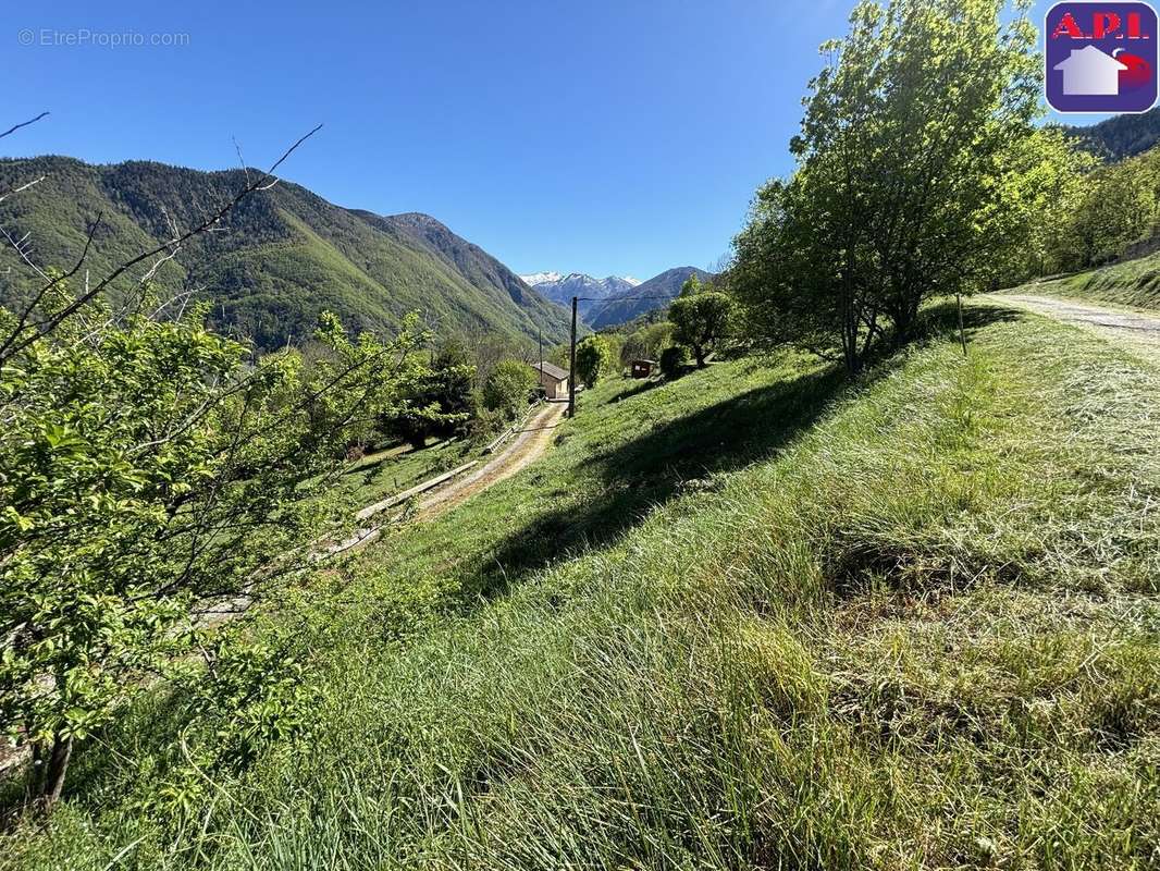 Terrain à LES CABANNES