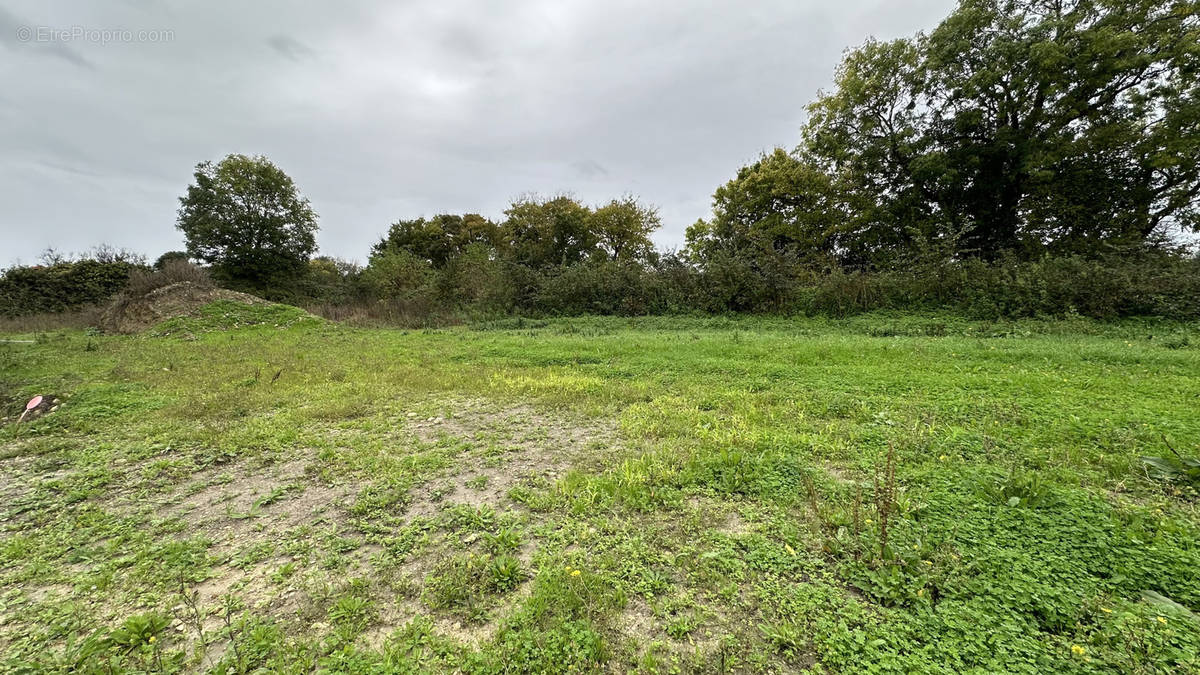 Terrain à LOIRE-LES-MARAIS