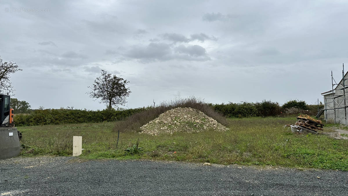 Terrain à LOIRE-LES-MARAIS