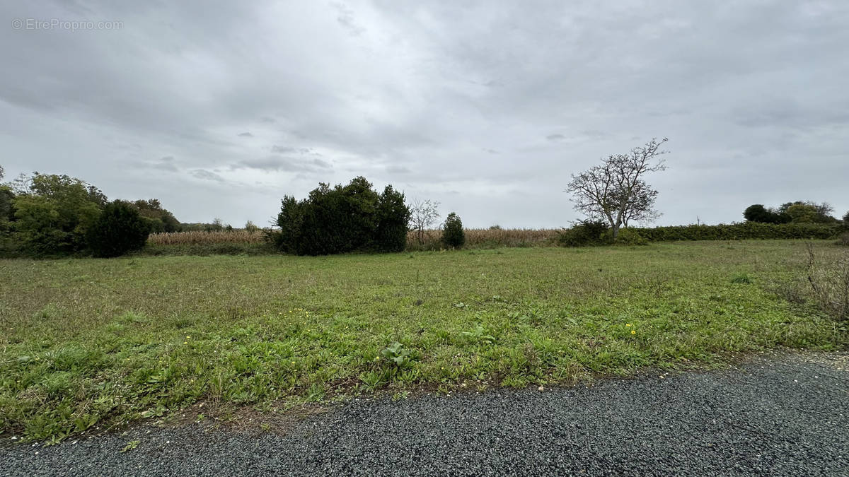 Terrain à LOIRE-LES-MARAIS