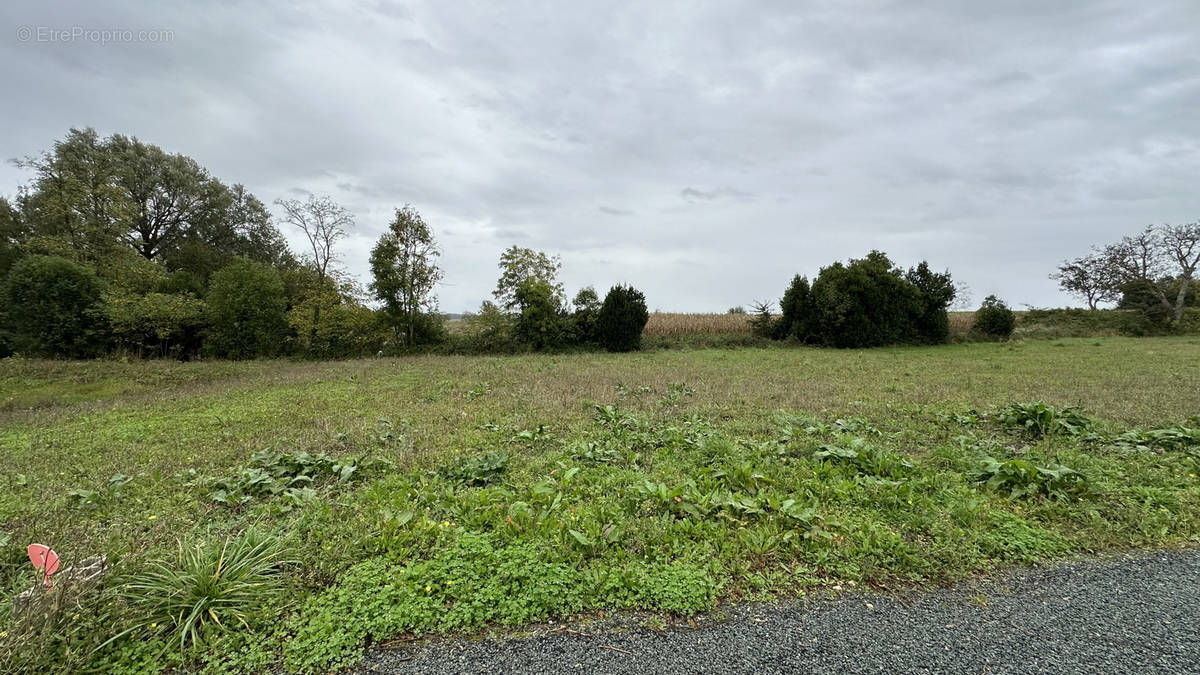 Terrain à LOIRE-LES-MARAIS