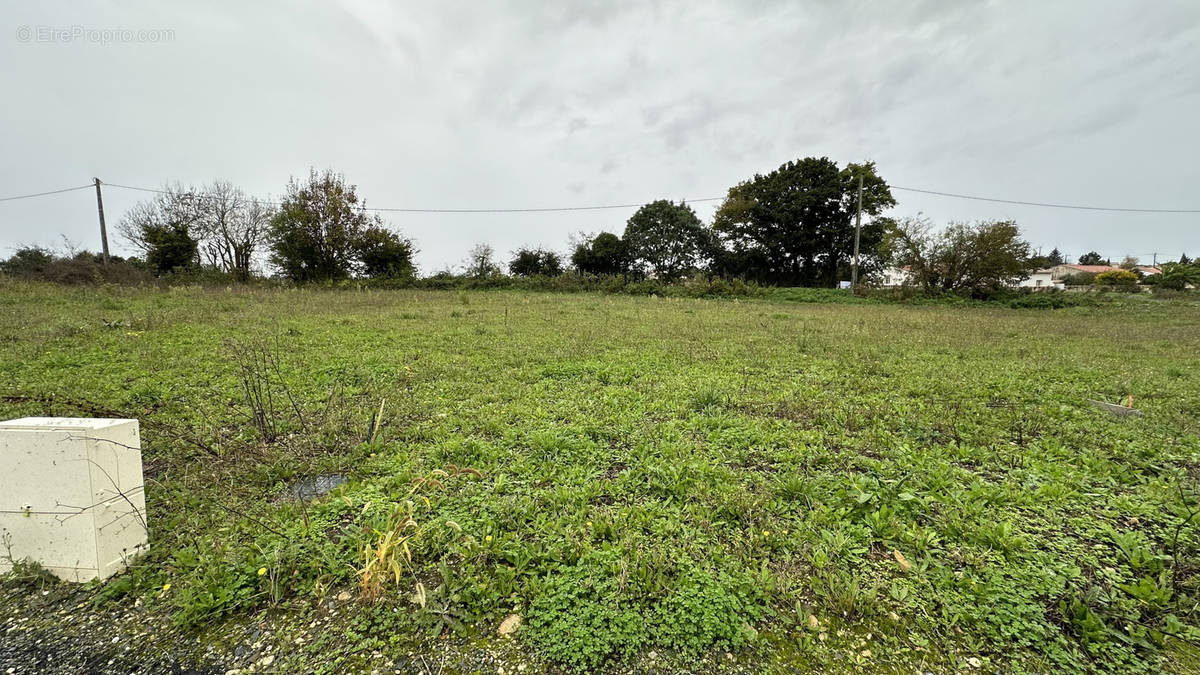 Terrain à LOIRE-LES-MARAIS