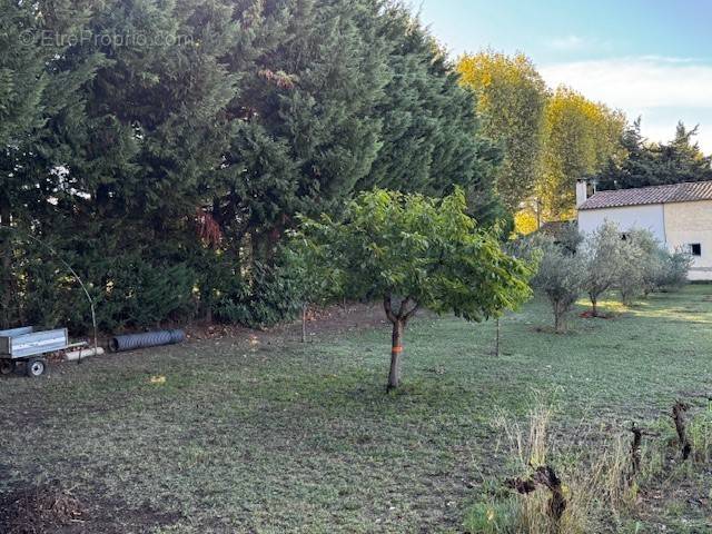 Terrain à SALON-DE-PROVENCE