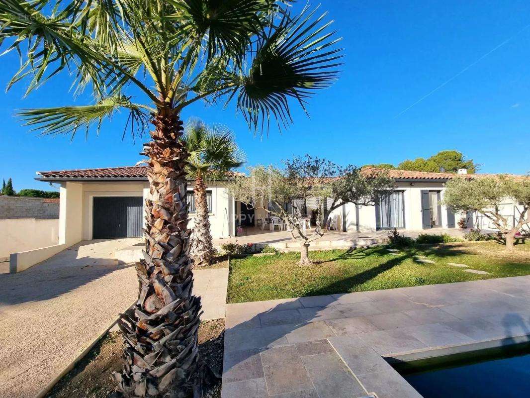 Maison à MAS-BLANC-DES-ALPILLES