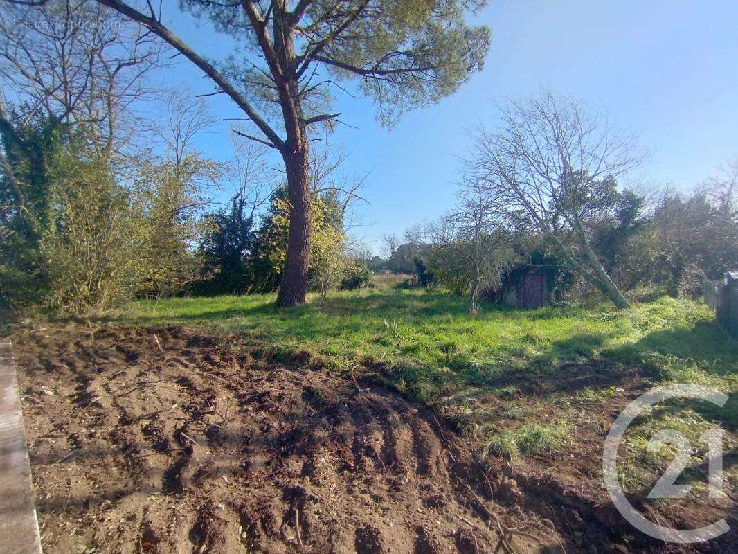 Terrain à LESPARRE-MEDOC