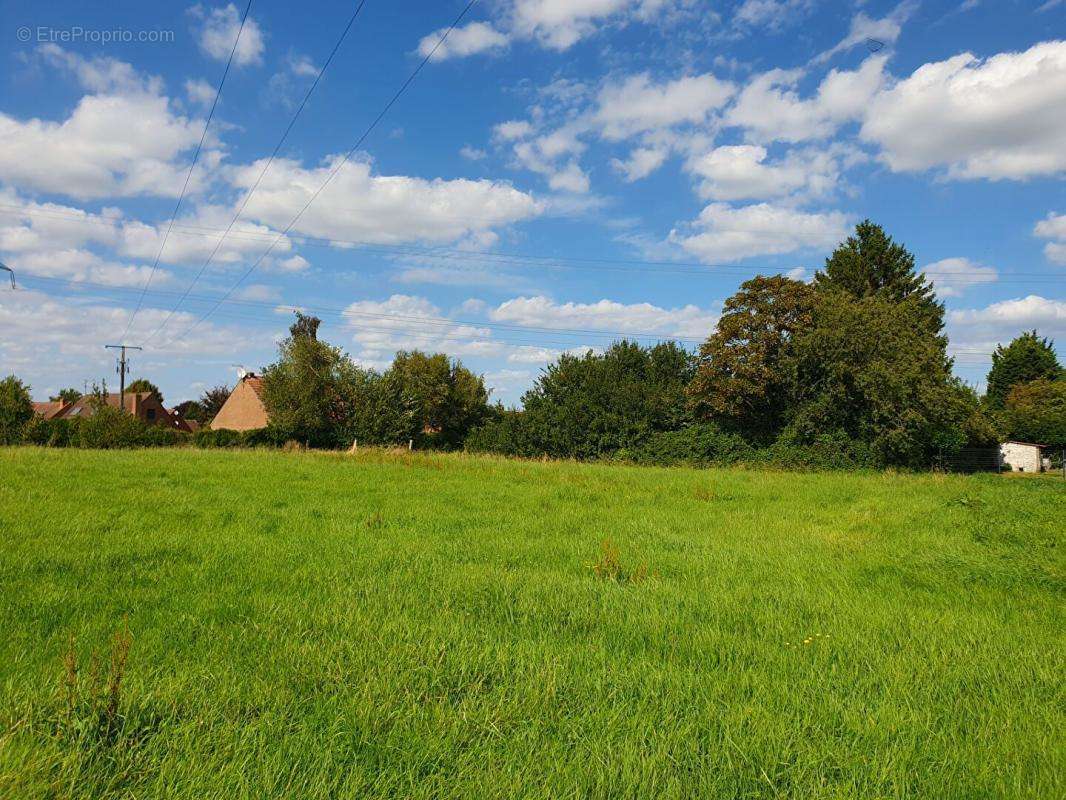 Terrain à BERSEE