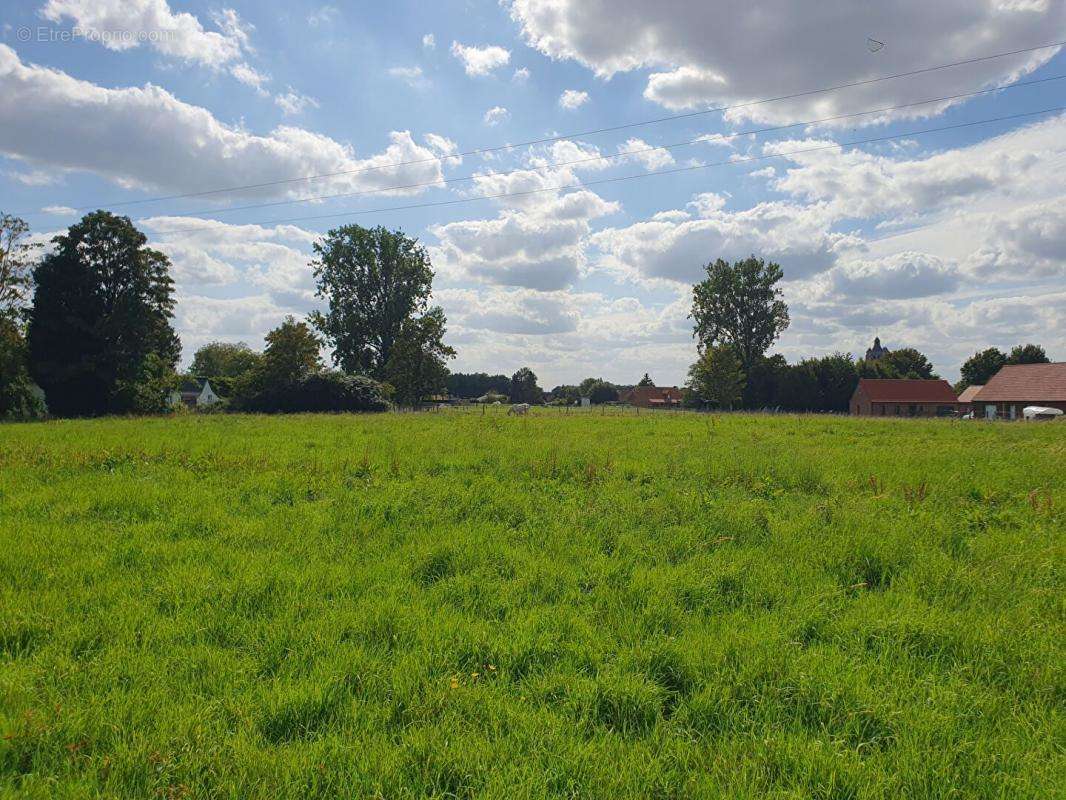 Terrain à BERSEE