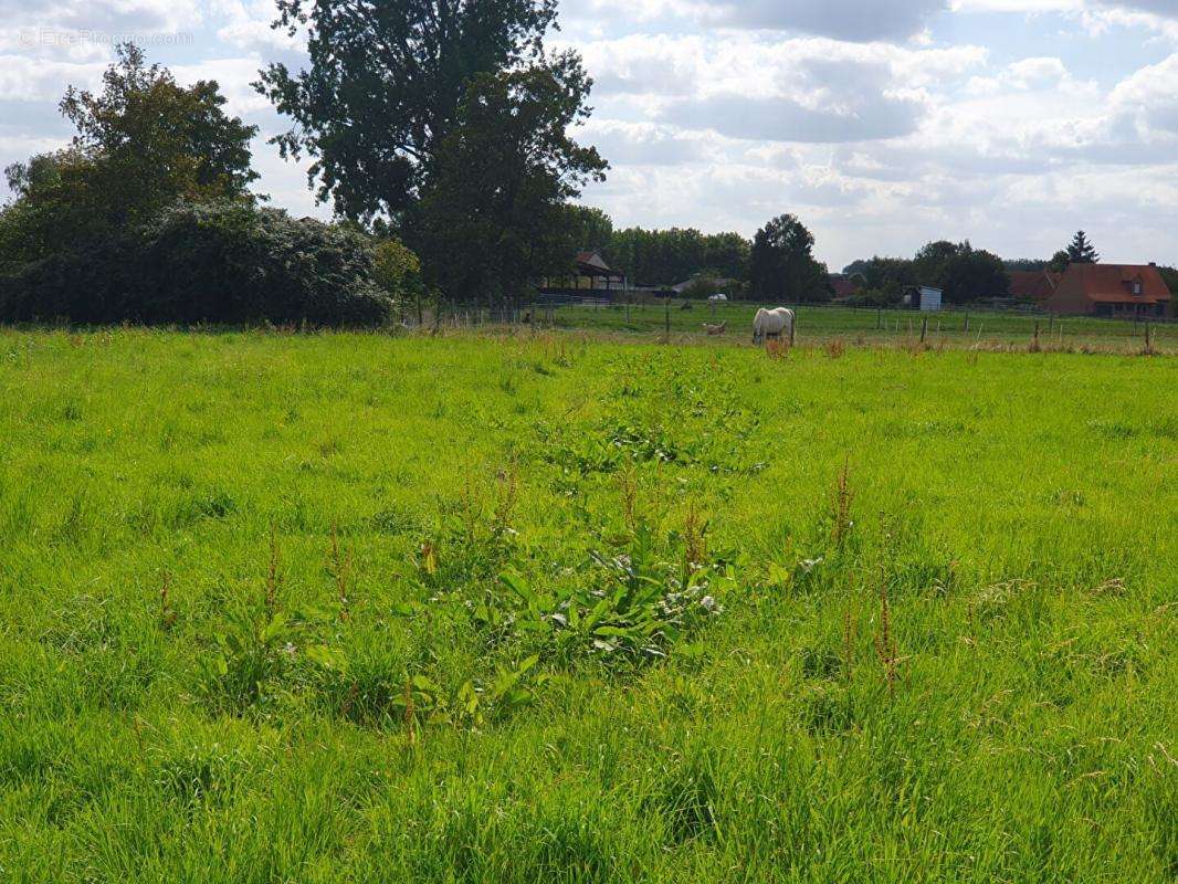 Terrain à BERSEE