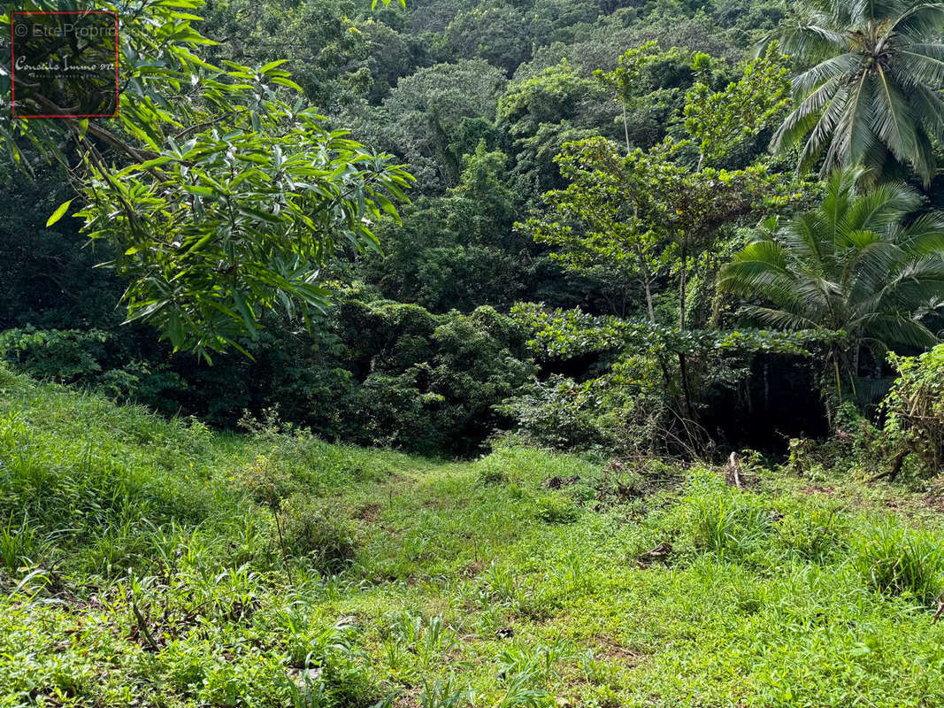 Terrain à RIVIERE-SALEE