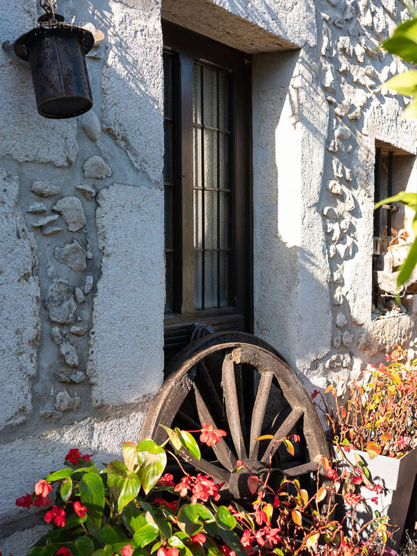 Maison à SAINT-JORIOZ