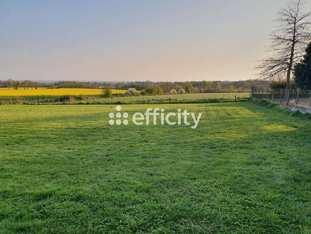 Terrain à THOUARE-SUR-LOIRE