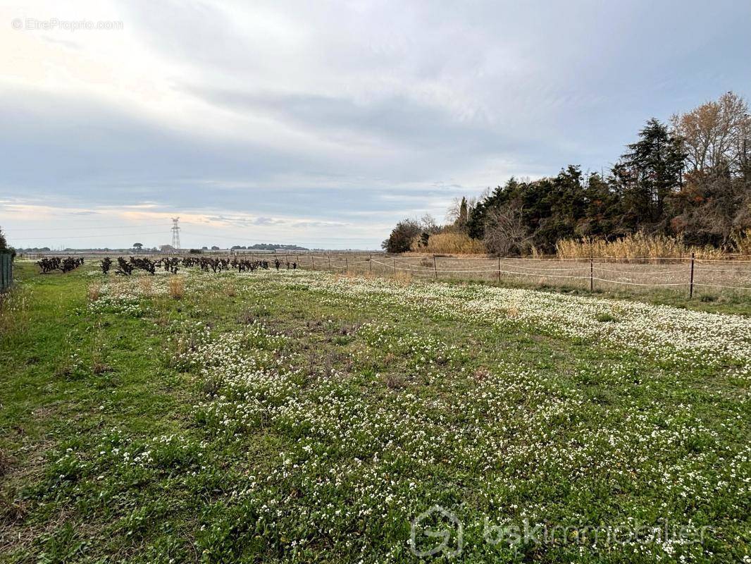 Terrain à POMEROLS