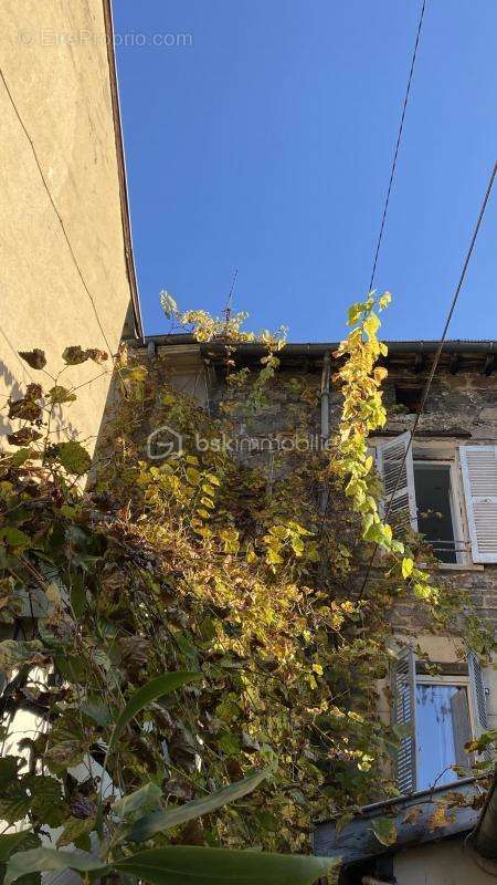 Appartement à OULLINS