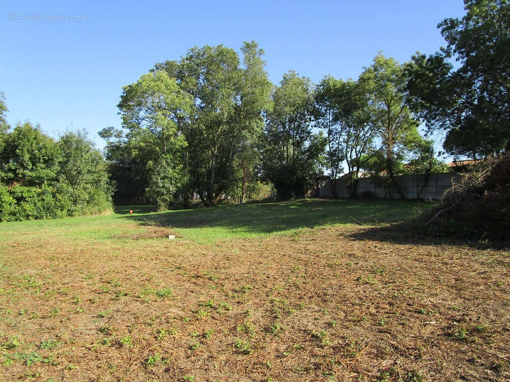 Terrain à LA JONCHERE