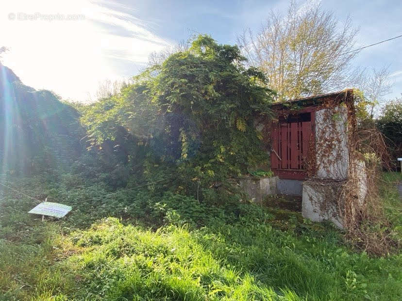 Maison à LANOUAILLE