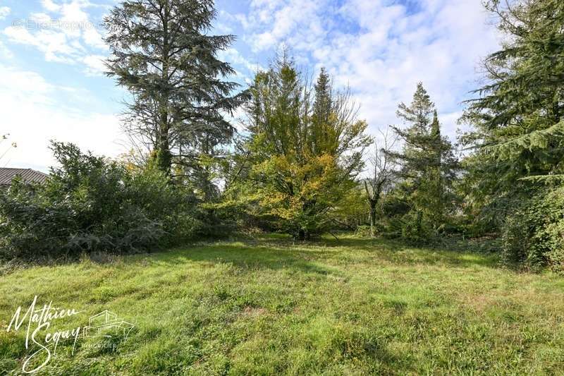 Terrain à POLLIONNAY