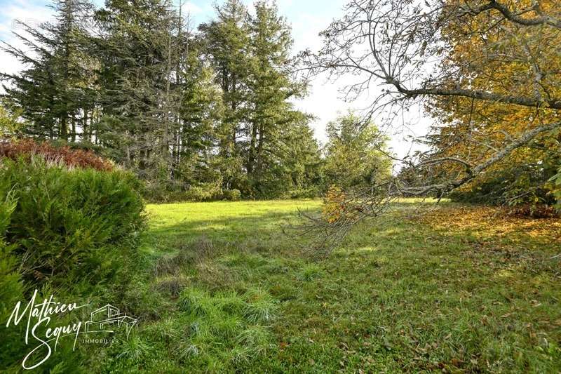 Terrain à POLLIONNAY