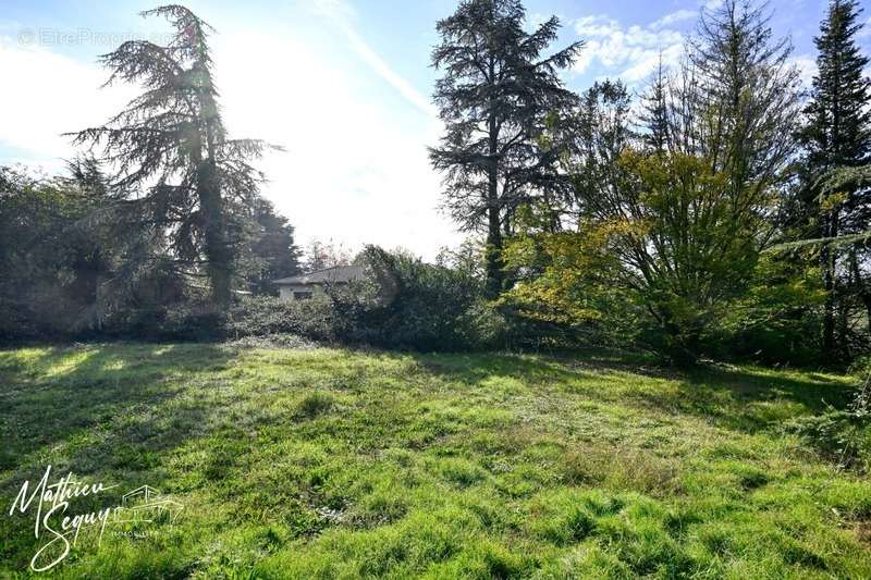 Terrain à POLLIONNAY