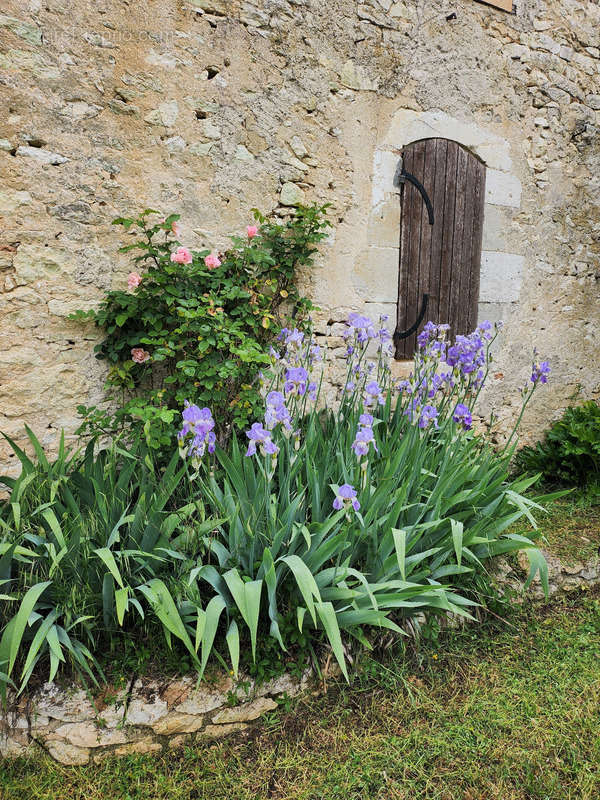 Maison à MONFLANQUIN