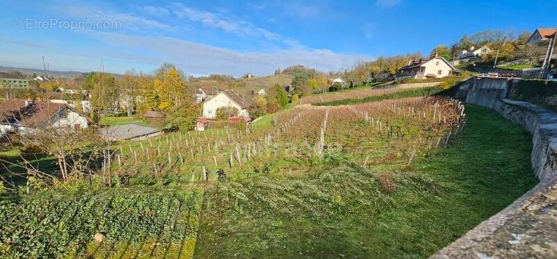 Terrain à ARBOIS