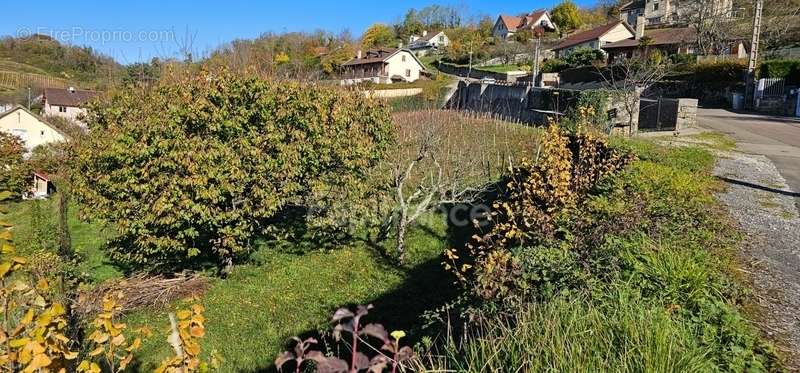 Terrain à ARBOIS