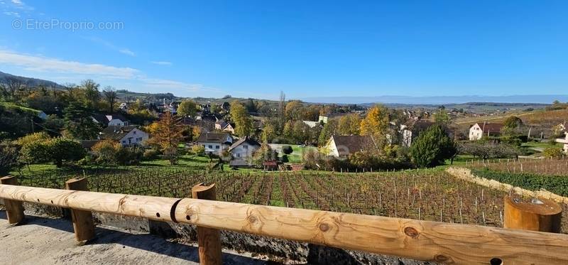 Terrain à ARBOIS