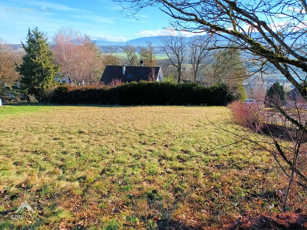 Terrain à POUGNY