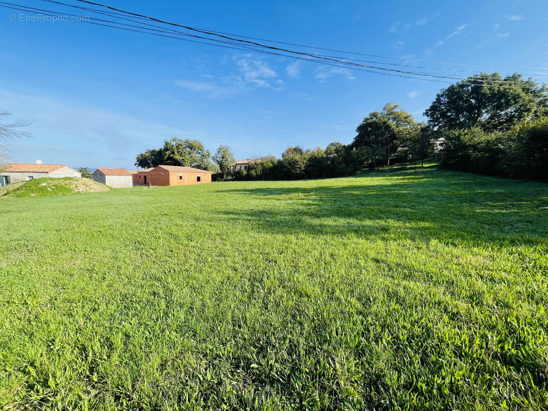 Terrain à SAINT-JEAN-DE-MARUEJOLS-ET-AVEJAN