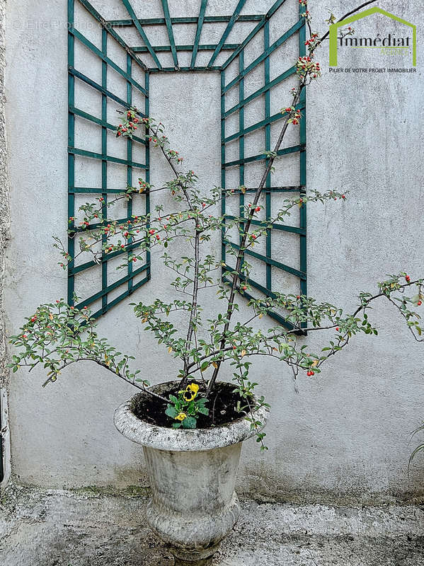 Appartement à RUEIL-MALMAISON