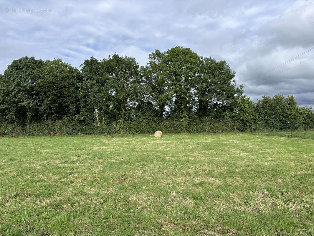 Terrain à LE BENY-BOCAGE