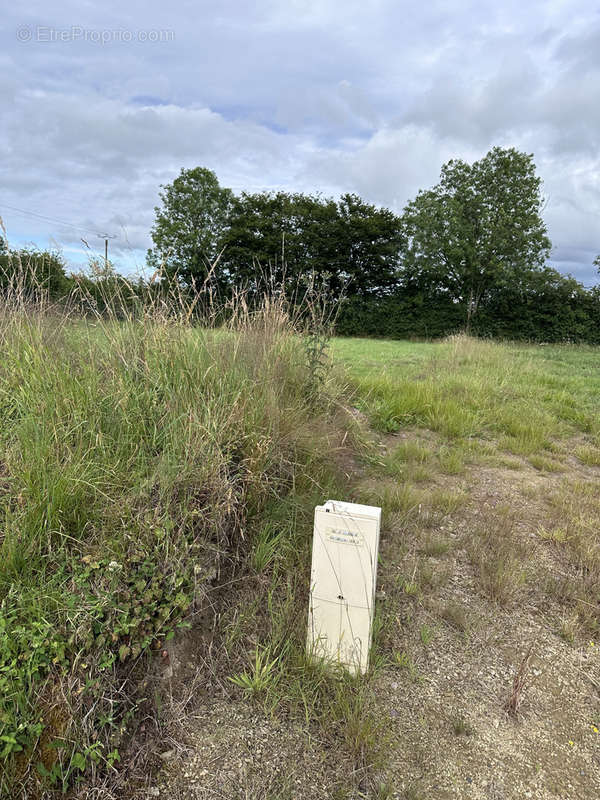 Terrain à LE BENY-BOCAGE