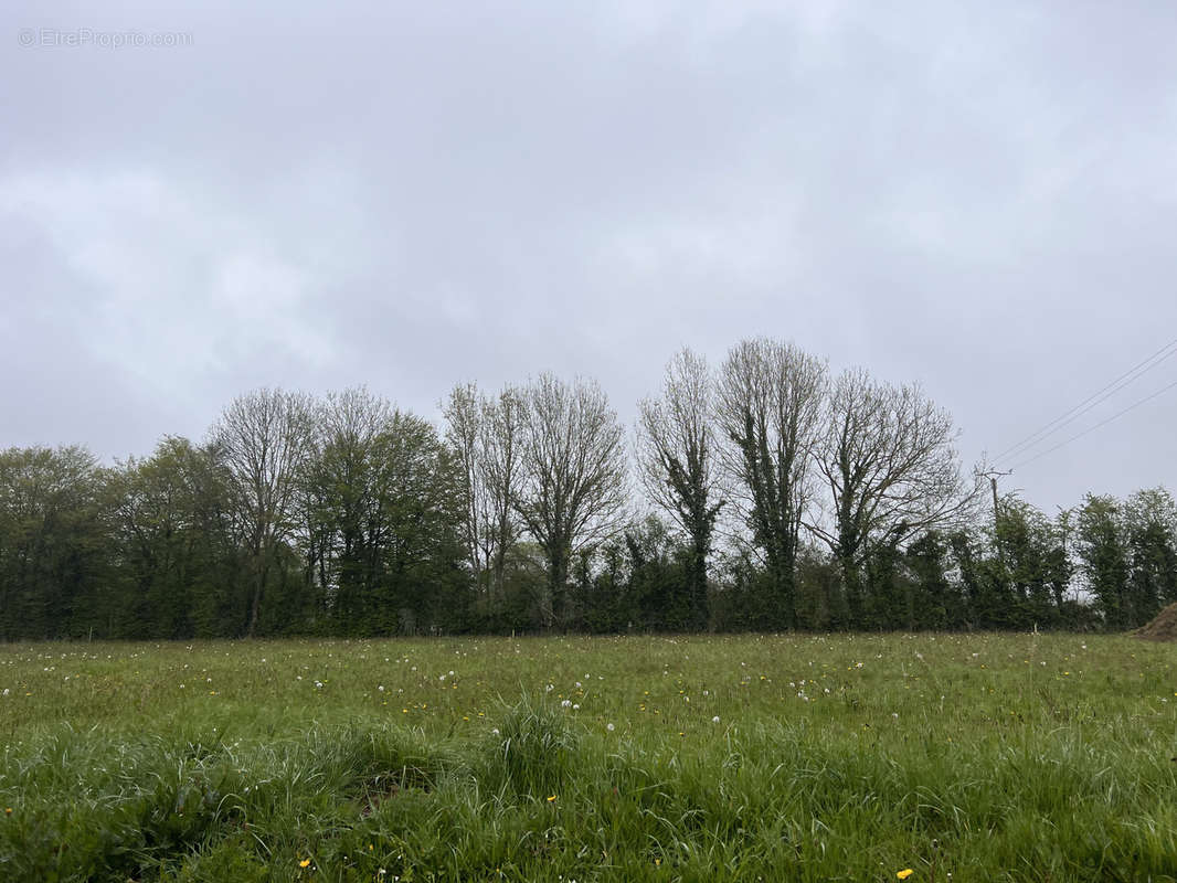 Terrain à LE BENY-BOCAGE