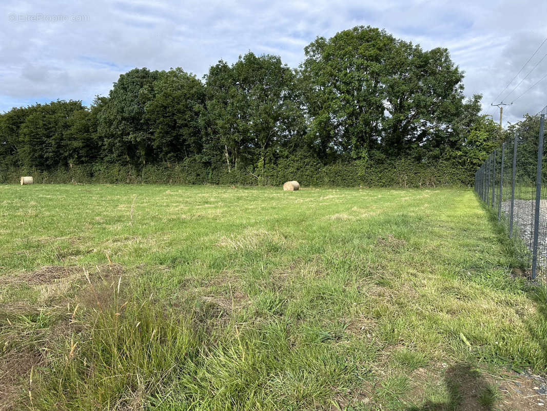 Terrain à LE BENY-BOCAGE