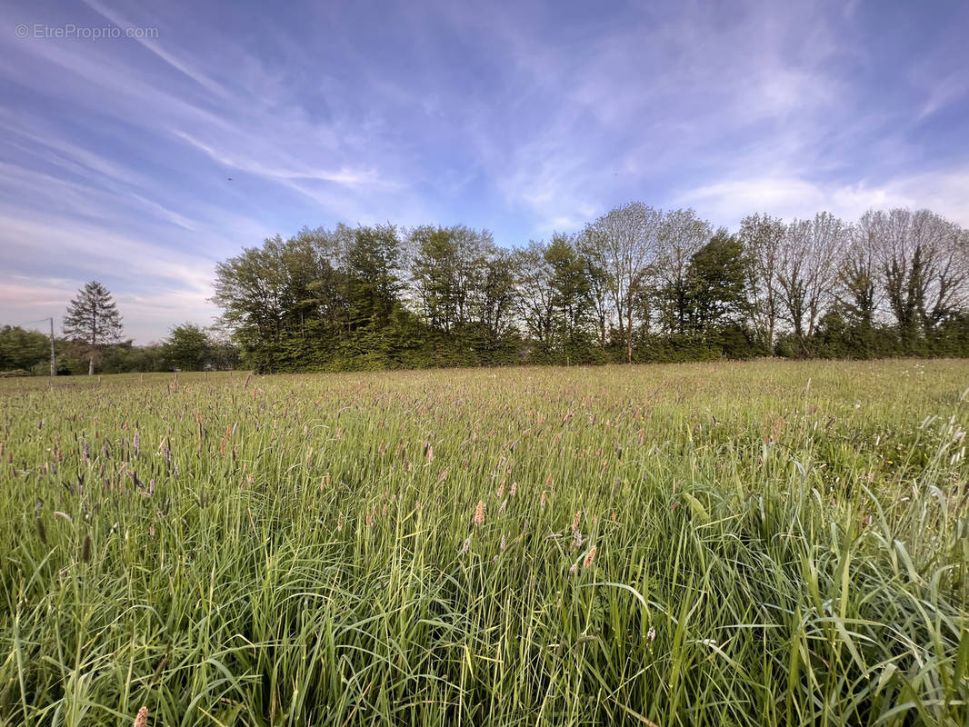 Terrain à LE BENY-BOCAGE